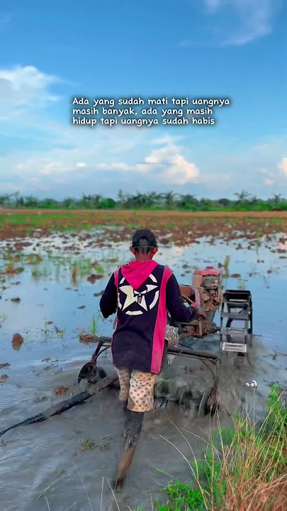 Olah lahan sawah #traktor #sawah