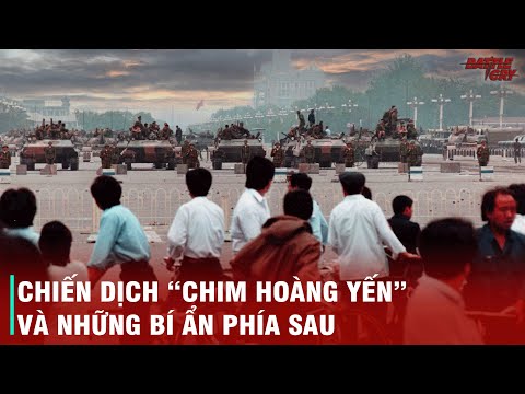 Video: Lều áo mưa xuất hiện như thế nào