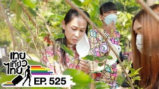 เทยเที่ยวไทย ตอน 525 | พาเที่ยว มีกินฟาร์ม จ.ขอนแก่น