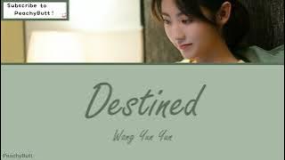 [OST Miss Crow With Mr.Lizard] 《Destined》 Wang Yun Yun (Eng|Chi|Pinyin)