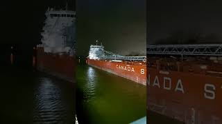 Celebrity Self-unloader, Ship Bulk Carrier 💯🗯 #short Profile