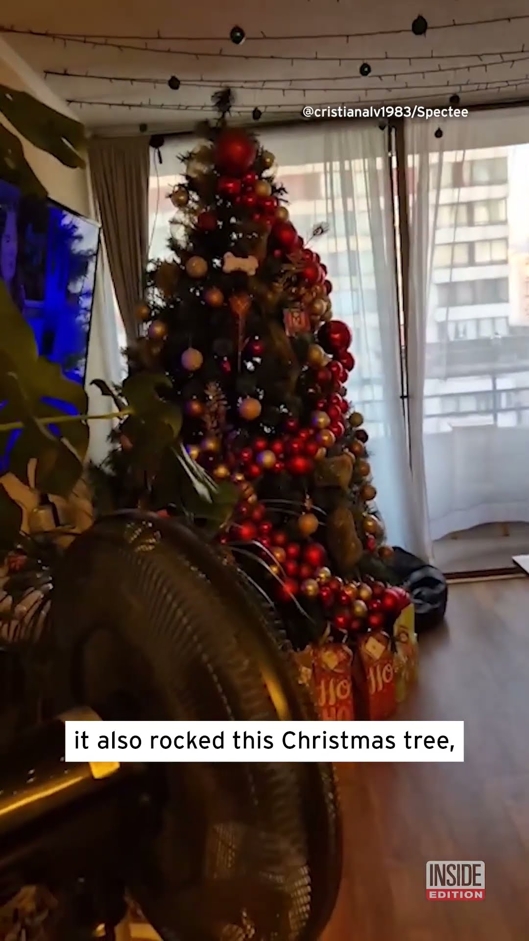 Earthquake Rocks Christmas Tree #shorts