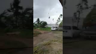 Viral.. Ribut Di Kedah 2019