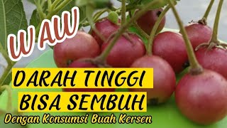 Manfaat buah kersen bagi kesehatan tubuh