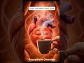 6 Best Drinks for Heart Health #health #shorts