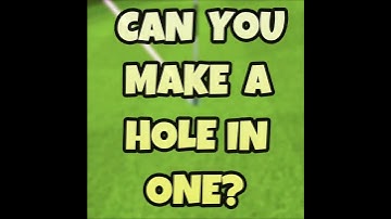 Golf Master 3D HIO F man 1:1