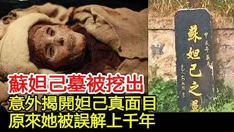 苏妲己墓被挖出，意外揭开妲己真面目，原来她被误解上千年#历史风云天下 - 天天要闻