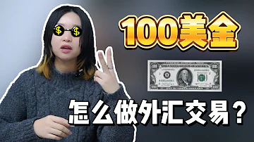 如何用 100 美金开始外汇交易 