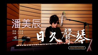 Download Lagu EAGLE PAN 【唯一】潘美辰（日久聲琴 Play and sing) COVER MP3