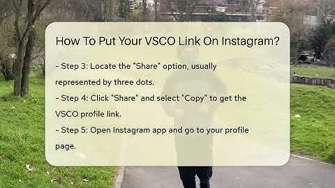 How To Put Your VSCO Link On Instagram? - Everyday-Networking