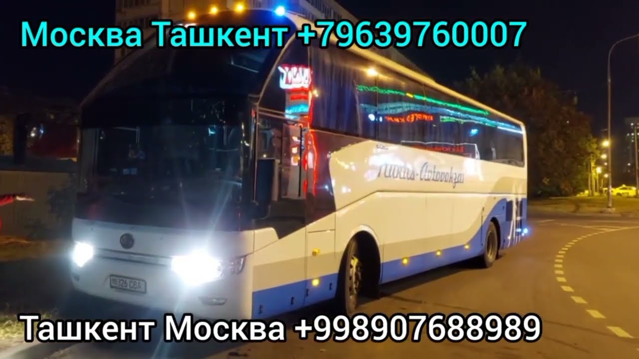 Алматы ташкент на машине