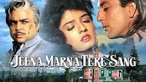 Jeena Marna Tere Sang 1991 ||   Sanjay Dutt ||  Raveena Tandon || Paresh Rawal