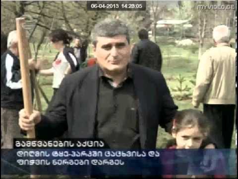 გამწვანების აქცია