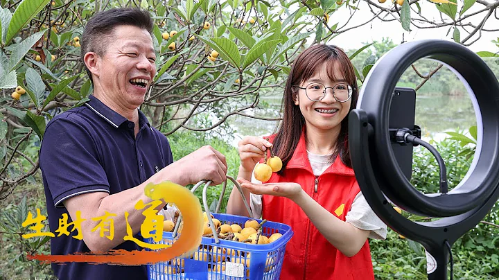 浙江湖州：种植历史1400多年！雷甸枇杷不仅味道鲜美，它的使用用途也远超你的想象！“生财有道”20230606 | 财经风云 - 天天要闻