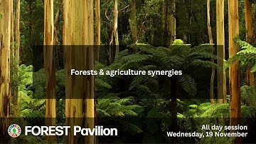Forest Pavilion at COP30 – 19 Nov – Forests & agriculture synergies