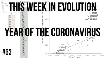 TWiEVO 63: Year of the coronavirus