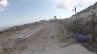 Drahthaar Esta Of Katodris Dob 14-04-15 First Apport Lessons