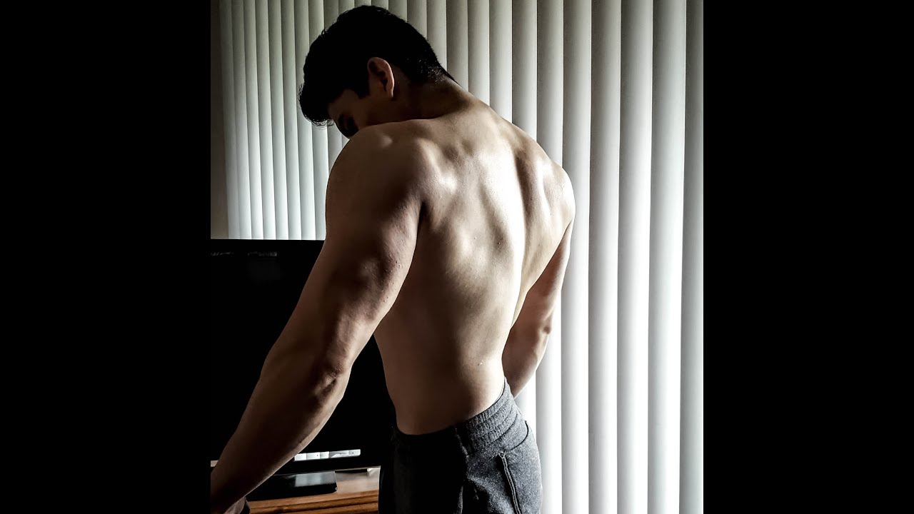 Workout Motivation | The Shredz are coming | 20 y/o natty bodybuilder