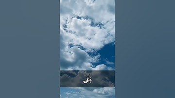 وَأَمَّا مَنْ خَافَ مَقَامَ رَبِّهِ وَنَهَى النَّفْسَ عَنِ الْهَوَىٰ (40)سورة النازعات