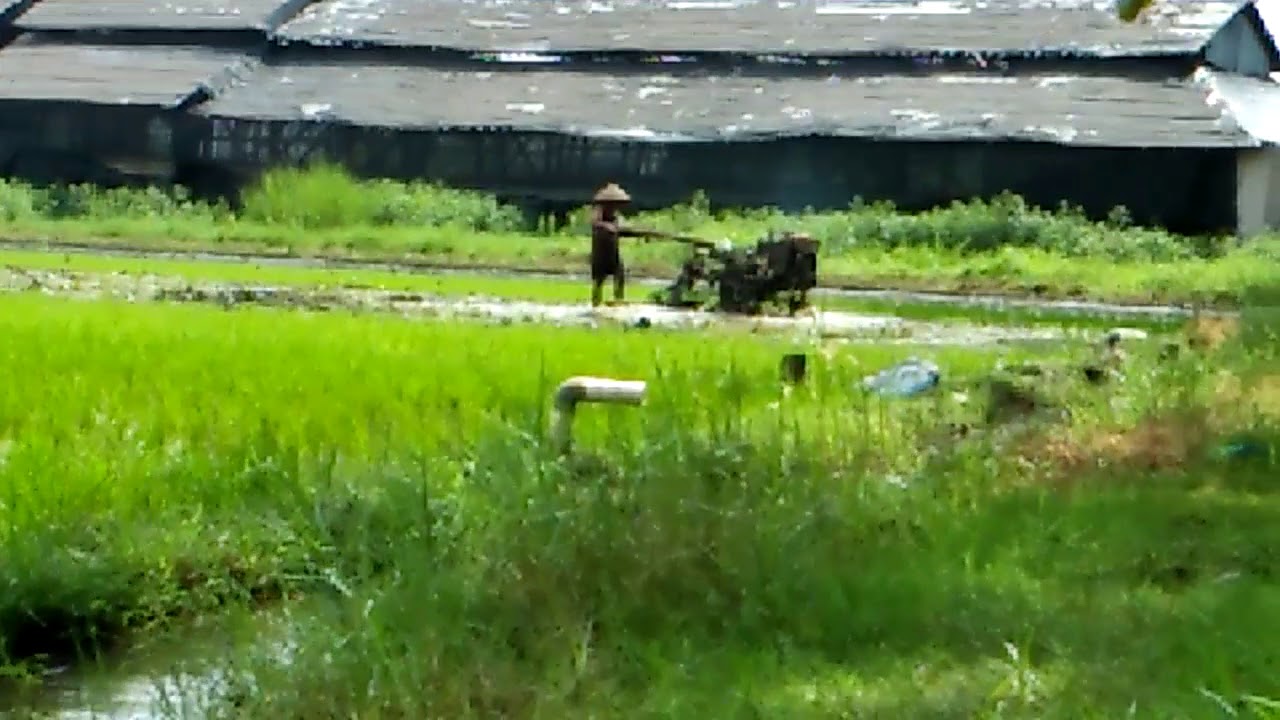 Membajak sawah dengan traktor - YouTube