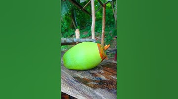 Amazing Young Coconut quick opening#shortsvideo #satisfying