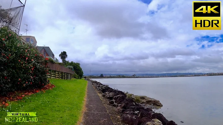 【4K HDR】LOCK DOWN LEVEL 4 Scooter Ride In South Auckland New Zealand!