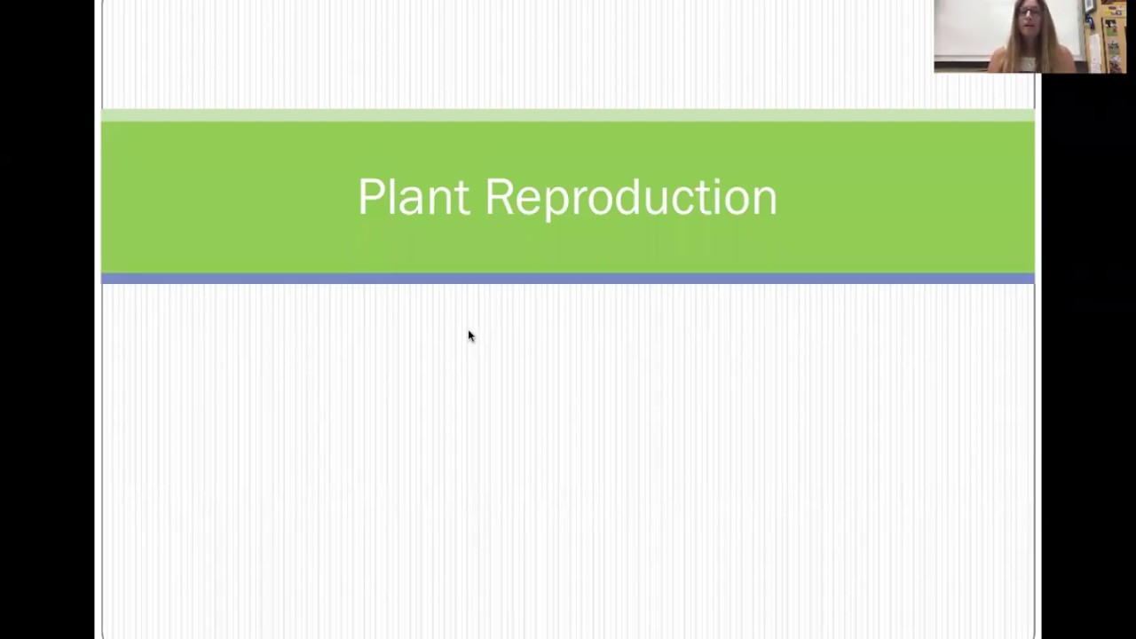 Plant Reproduction YouTube