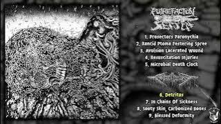 Putrefaction Sets In / FesterDecay - split 12' FULL ALBUM (2025 - Goregrind)