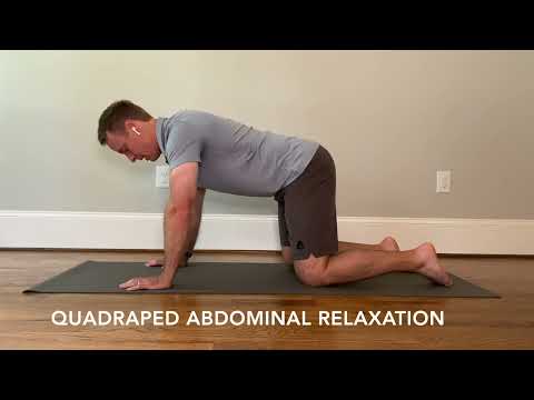 Quadruped Abdominal Relaxation