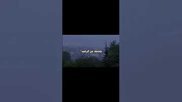 اسلك يدك في جيبك تخرج بيضاء ياسر الدوسري تلاوة القرآن الكريم خاشعة 