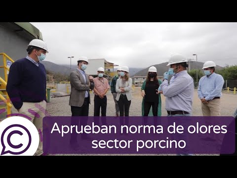 Aprueban norma de olores que beneficiará a comunas de la Región de O'Higgins