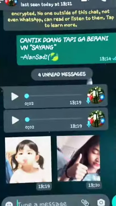 Story WA || Cantik doang Tapi Ga Berani VN ' SAYANG '