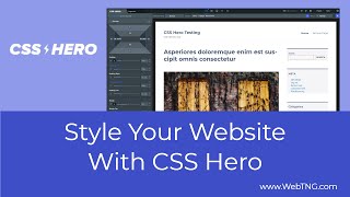 Style Your Website With CSS Hero screenshot 5