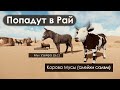 10 Животных Которые Попадут в Рай