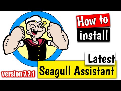 Seagull assistant ver. 7.2 cest test / cbt test