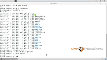 2.1 Переменные окружения | Linux для начинающих