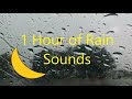 1 Hour Rain Sounds for Sleep, Meditation and Healing 💤🌧