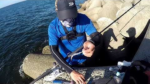 Cách câu cá Hố - cá Đao đơn giiản mà hiệu quả nhất ở Nhật Bản