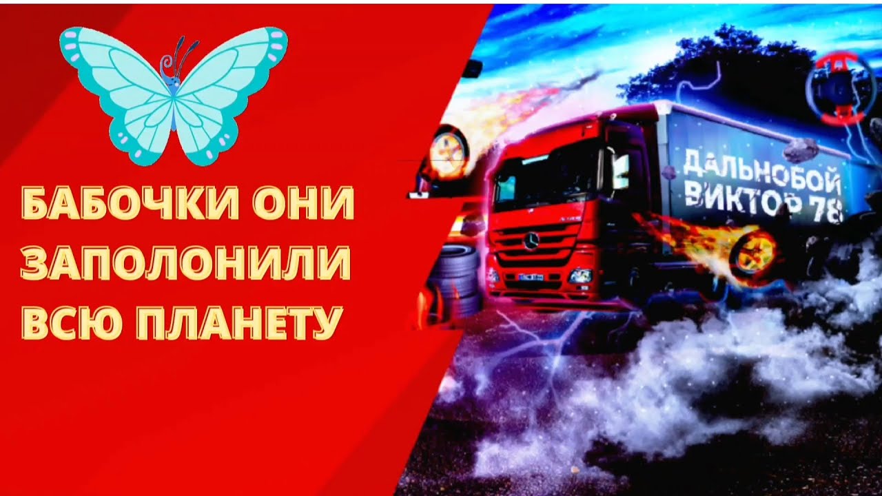 Бабочки - они заполонили всю планету. - YouTube