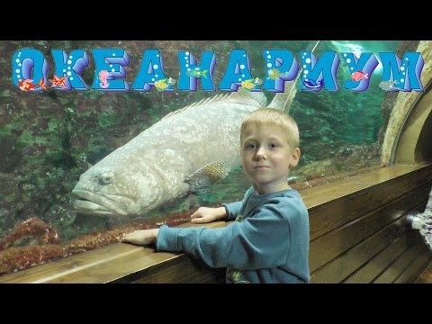 Зрманя – самая красивая река Хорватии