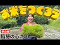 岡田桃佳の「稲穂の心#1」田植えに挑戦