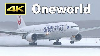 Special movie for JAL fan - Oneworld livery jets of Japan Airlines A350, 777,  767 / 羽田空港 成田空港 新千歳空港