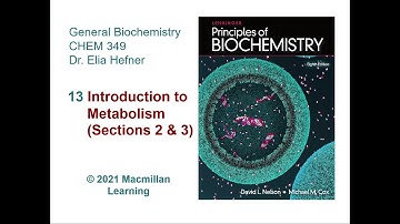 Chapter 13 - Introduction to Metabolism Part 1 (Sections 2 & 3)