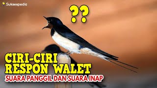 INILAH CIRI - CIRI WALET YANG MERESPON SUARA PANGGIL DAN SUARA INAP