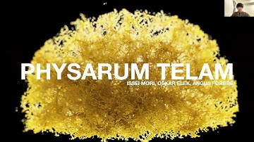 Physarum Telam - Issei Mori