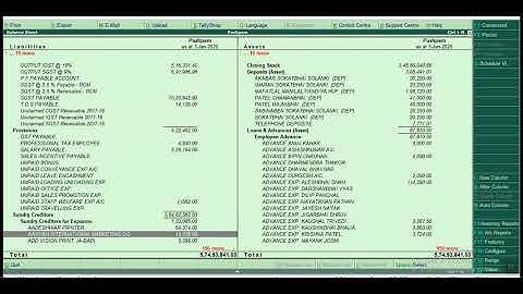 Print Detailed Balance Sheet and profit and loss Report in Tally.ERP9