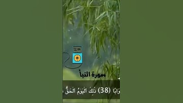 الشيخ سعد ناصر | تصويرمشهد يوم القيامة فى تلاوة مرتلة من سورة النبأ
