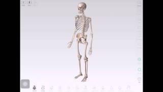 أفضل عشر ألعاب الايفون والإيباد والإيبود الجزء الثاني screenshot 5