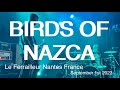 Capture de la vidéo Birds Of Nazca Live Full Concert 4K @ Le Ferrailleur Nantes September 1St September 2023