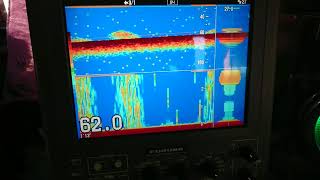 Furuno Fcv-1100L50 And 29528